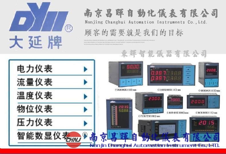 DY21J56P5流量積算儀DY2000東輝大延牌儀表