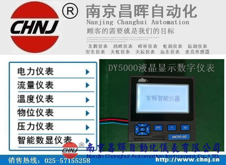 DY21ZL、DY22ZL00、DY59ZL60、DY5000（ZL）液晶顯示數(shù)字儀表